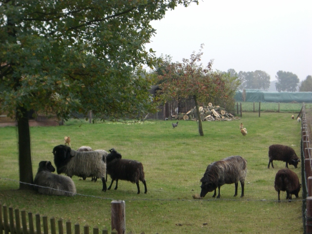 CTF Celle Strecke 098